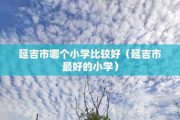 延吉市哪个小学比较好（延吉市最好的小学）