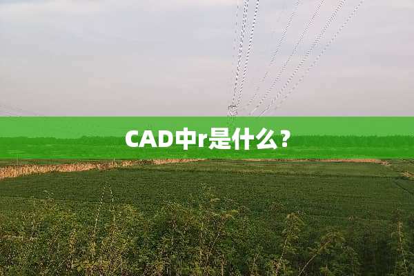 CAD中r是什么？