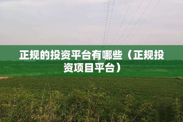 正规的投资平台有哪些（正规投资项目平台）