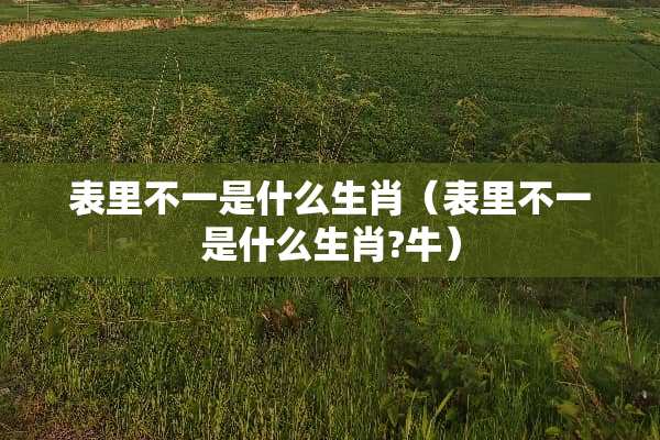 表里不一是什么生肖（表里不一是什么生肖?牛）