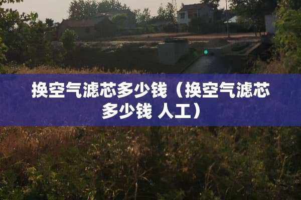 换空气滤芯多少钱（换空气滤芯多少钱 人工）