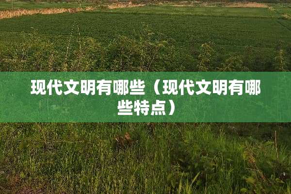 现代文明有哪些（现代文明有哪些特点）