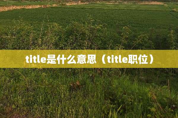 title是什么意思（title职位）