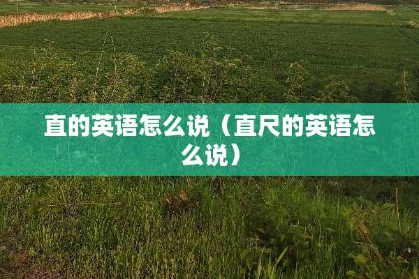 直的英语怎么说（直尺的英语怎么说）
