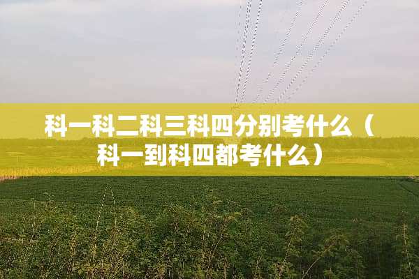 科一科二科三科四分别考什么（科一到科四都考什么）