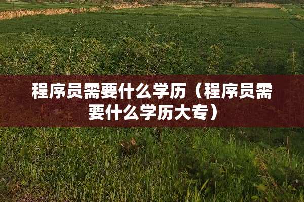 程序员需要什么学历（程序员需要什么学历大专）