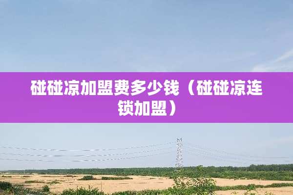 碰碰凉加盟费多少钱（碰碰凉连锁加盟）