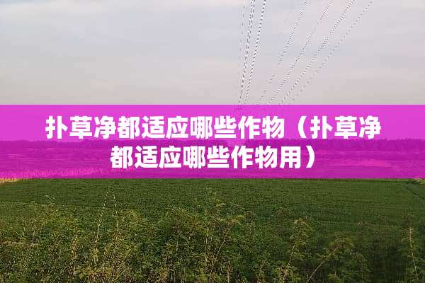 扑草净都适应哪些作物（扑草净都适应哪些作物用）