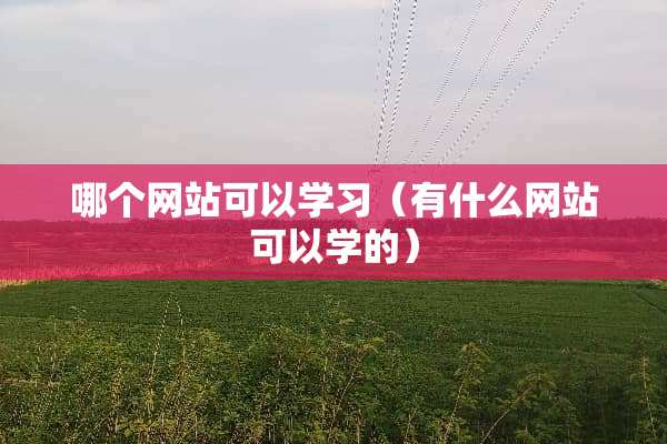 哪个网站可以学习（有什么网站可以学的）