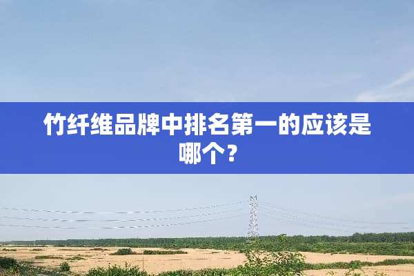 竹纤维品牌中排名第一的应该是哪个？