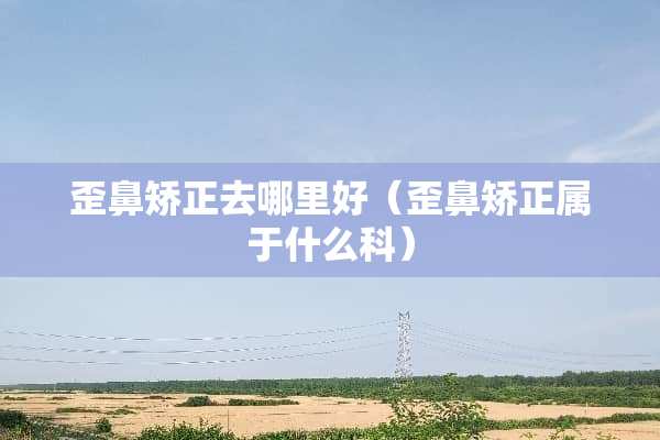歪鼻矫正去哪里好（歪鼻矫正属于什么科）