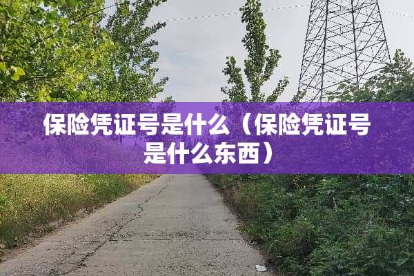 保险凭证号是什么（保险凭证号是什么东西）