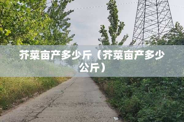 芥菜亩产多少斤（芥菜亩产多少公斤）