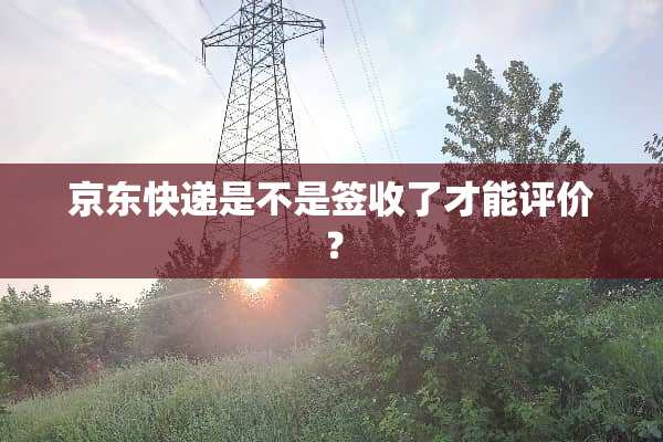京东快递是不是签收了才能评价？