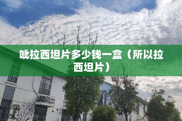 呲拉西坦片多少钱一盒（所以拉西坦片）