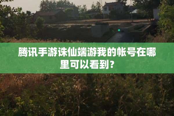 腾讯手游诛仙端游我的帐号在哪里可以看到？