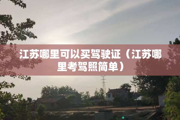 江苏哪里可以买驾驶证（江苏哪里考驾照简单）