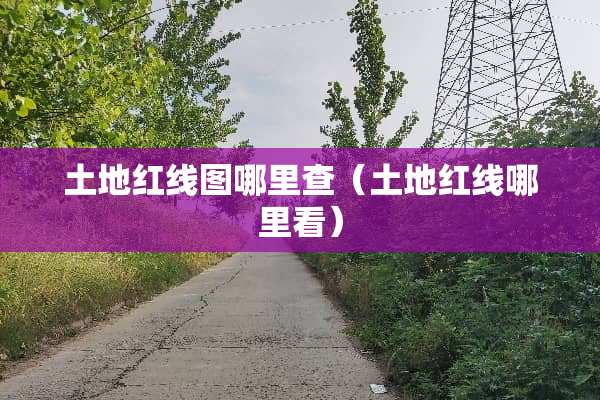 土地红线图哪里查（土地红线哪里看）