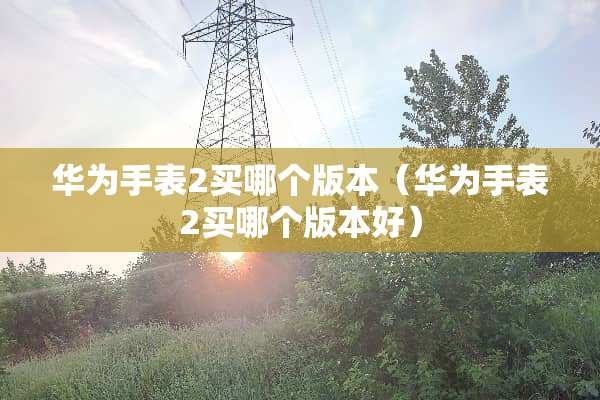 华为手表2买哪个版本（华为手表2买哪个版本好）