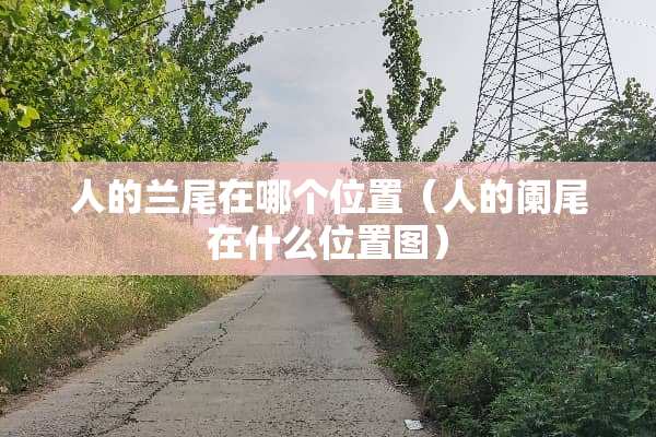 人的兰尾在哪个位置（人的阑尾在什么位置图）