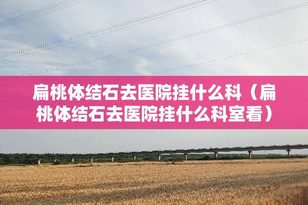 扁桃体结石去医院挂什么科（扁桃体结石去医院挂什么科室看）