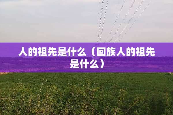 人的祖先是什么（回族人的祖先是什么）