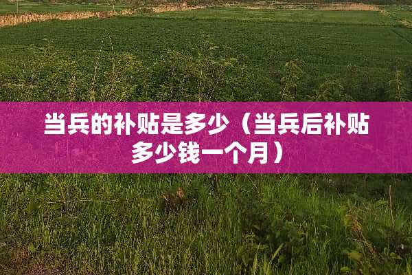 当兵的补贴是多少（当兵后补贴多少钱一个月）