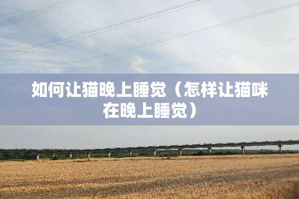如何让猫晚上睡觉（怎样让猫咪在晚上睡觉）