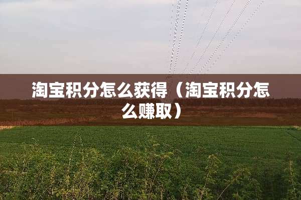 淘宝积分怎么获得（淘宝积分怎么赚取）