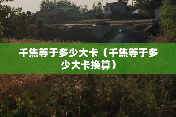 千焦等于多少大卡（千焦等于多少大卡换算）
