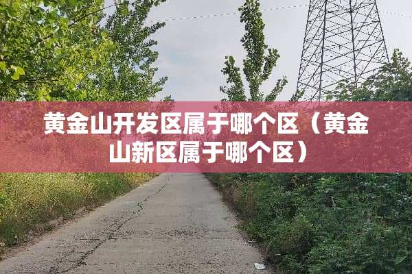 黄金山开发区属于哪个区（黄金山新区属于哪个区）