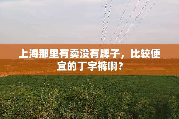 上海那里有卖没有牌子，比较便宜的丁字裤啊？