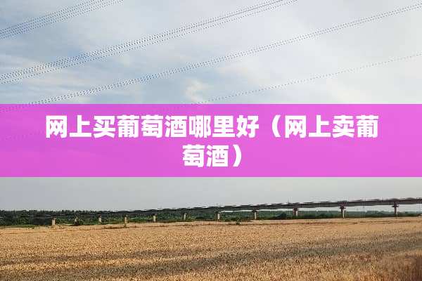网上买葡萄酒哪里好（网上卖葡萄酒）