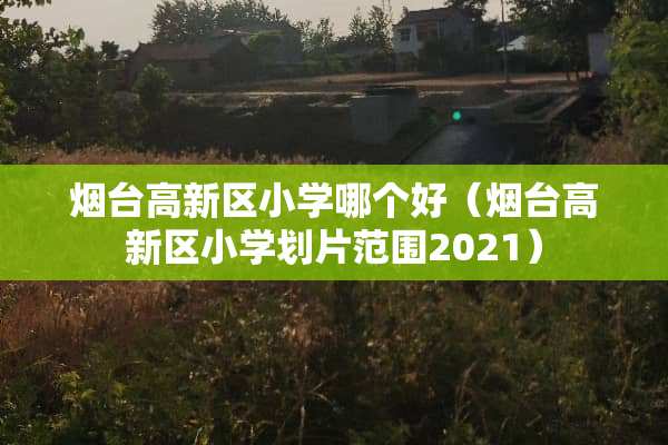 烟台高新区小学哪个好（烟台高新区小学划片范围2021）