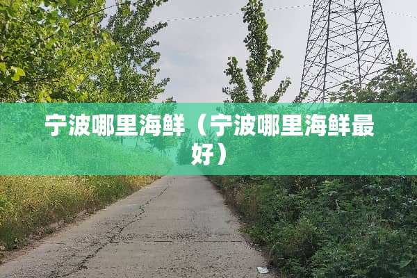 宁波哪里海鲜（宁波哪里海鲜最好）