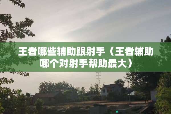王者哪些辅助跟射手（王者辅助哪个对射手帮助最大）