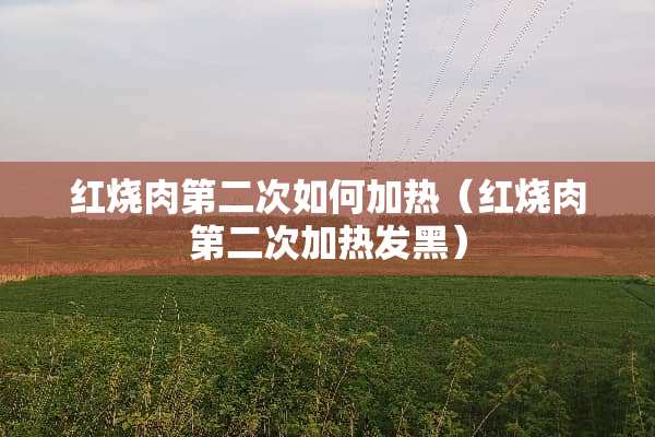 红烧肉第二次如何加热（红烧肉第二次加热发黑）