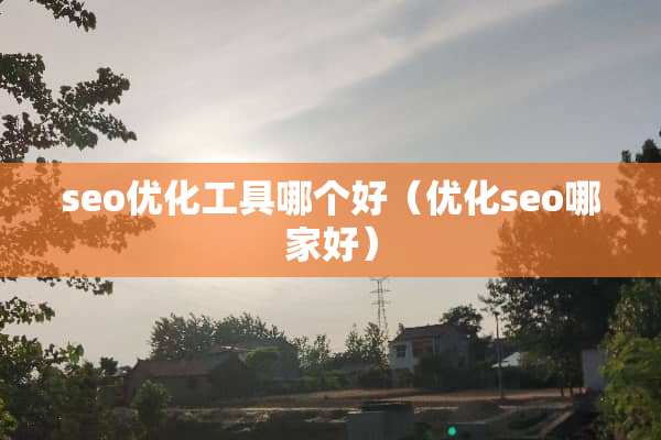 seo优化工具哪个好（优化seo哪家好）
