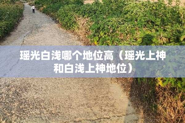 瑶光白浅哪个地位高（瑶光上神和白浅上神地位）