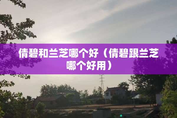 倩碧和兰芝哪个好（倩碧跟兰芝哪个好用）