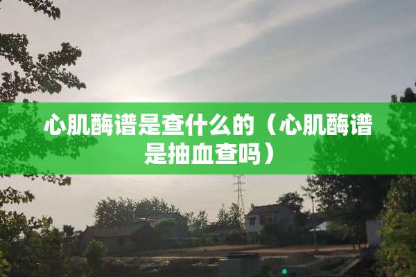 心肌酶谱是查什么的（心肌酶谱是抽血查吗）