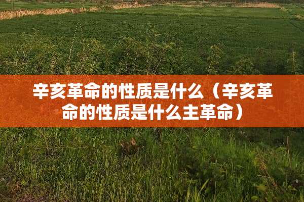 辛亥**的性质是什么（辛亥**的性质是什么主**）