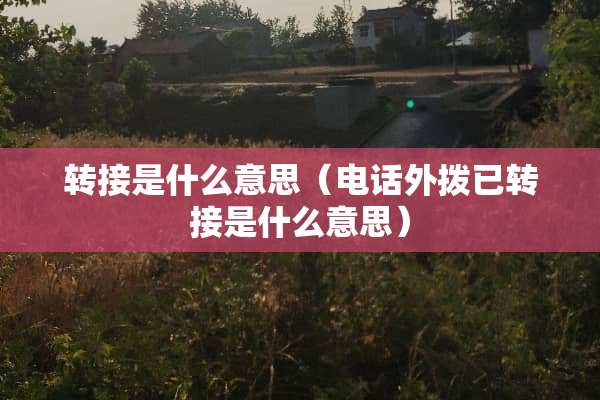 转接是什么意思（电话外拨已转接是什么意思）