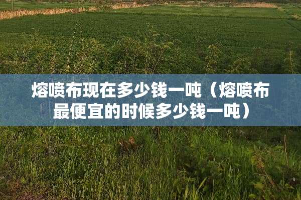 熔喷布现在多少钱一吨（熔喷布最便宜的时候多少钱一吨）