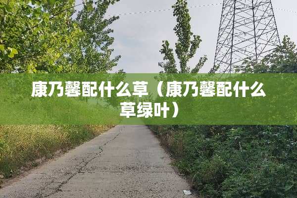 康乃馨配什么草（康乃馨配什么草绿叶）