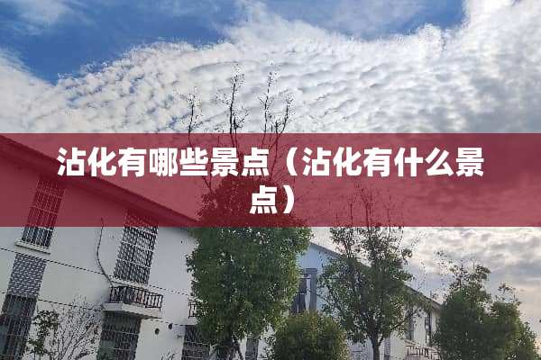 沾化有哪些景点（沾化有什么景点）