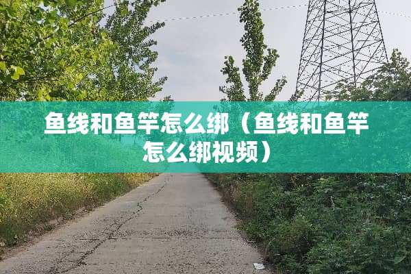 鱼线和鱼竿怎么绑（鱼线和鱼竿怎么绑视频）