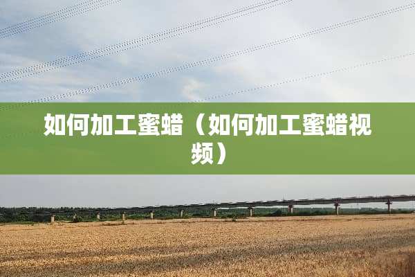 如何加工蜜蜡（如何加工蜜蜡视频）