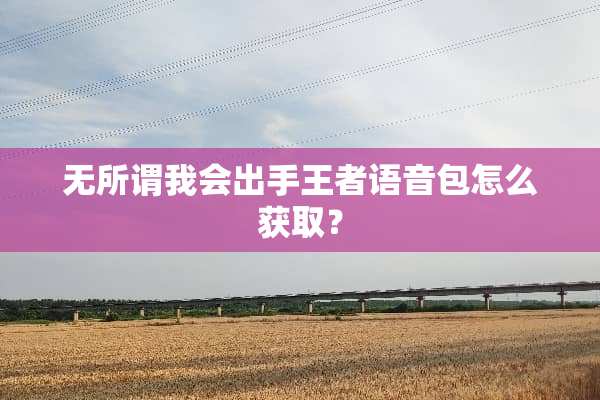 无所谓我会出手王者语音包怎么获取？
