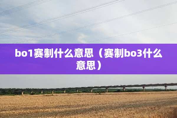 bo1赛制什么意思（赛制bo3什么意思）